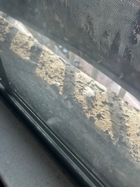 Great View- bird poop all over