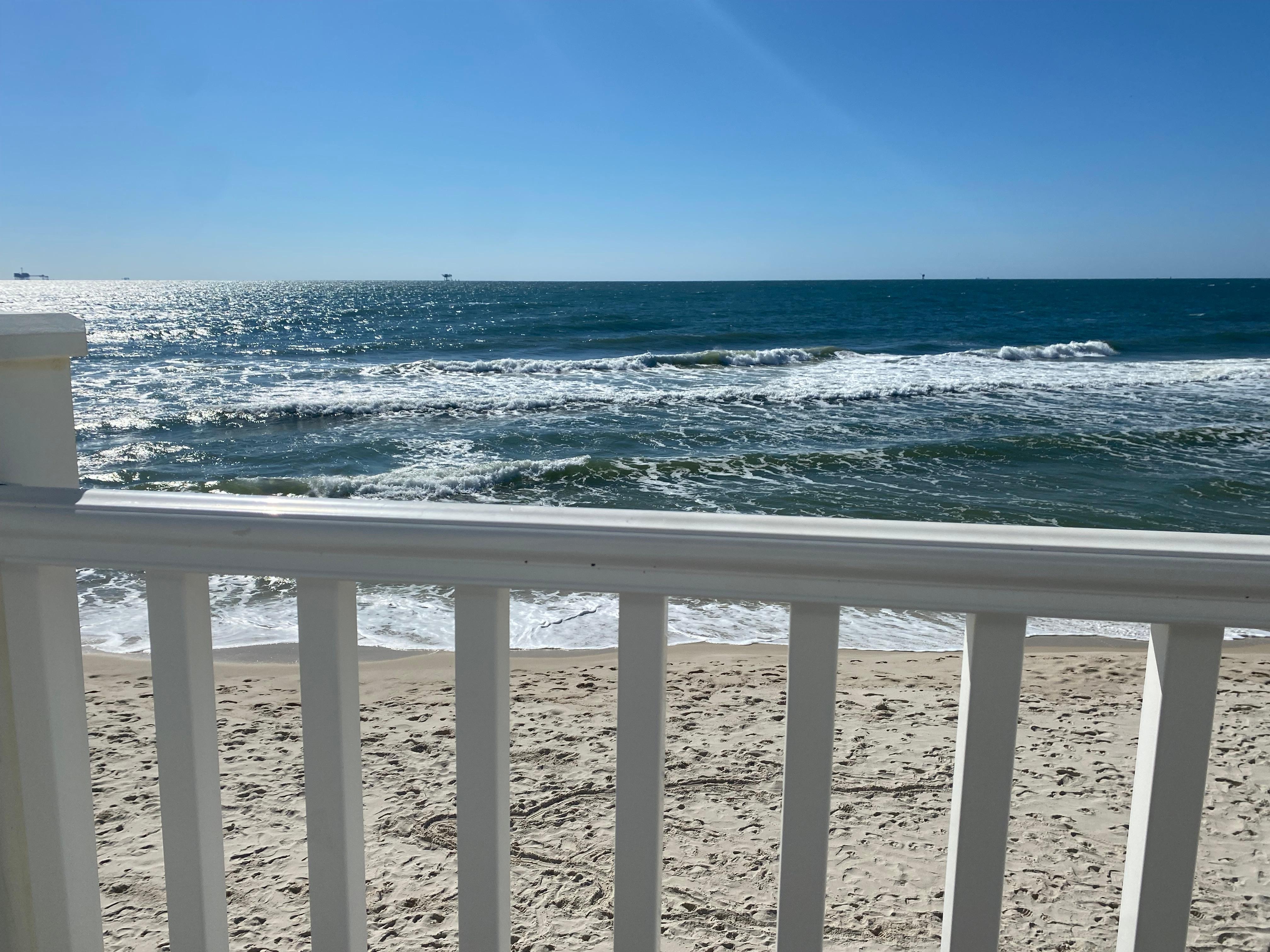 It is pet friendly. This is my little Yorkie people watching