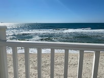 It is pet friendly. This is my little Yorkie people watching