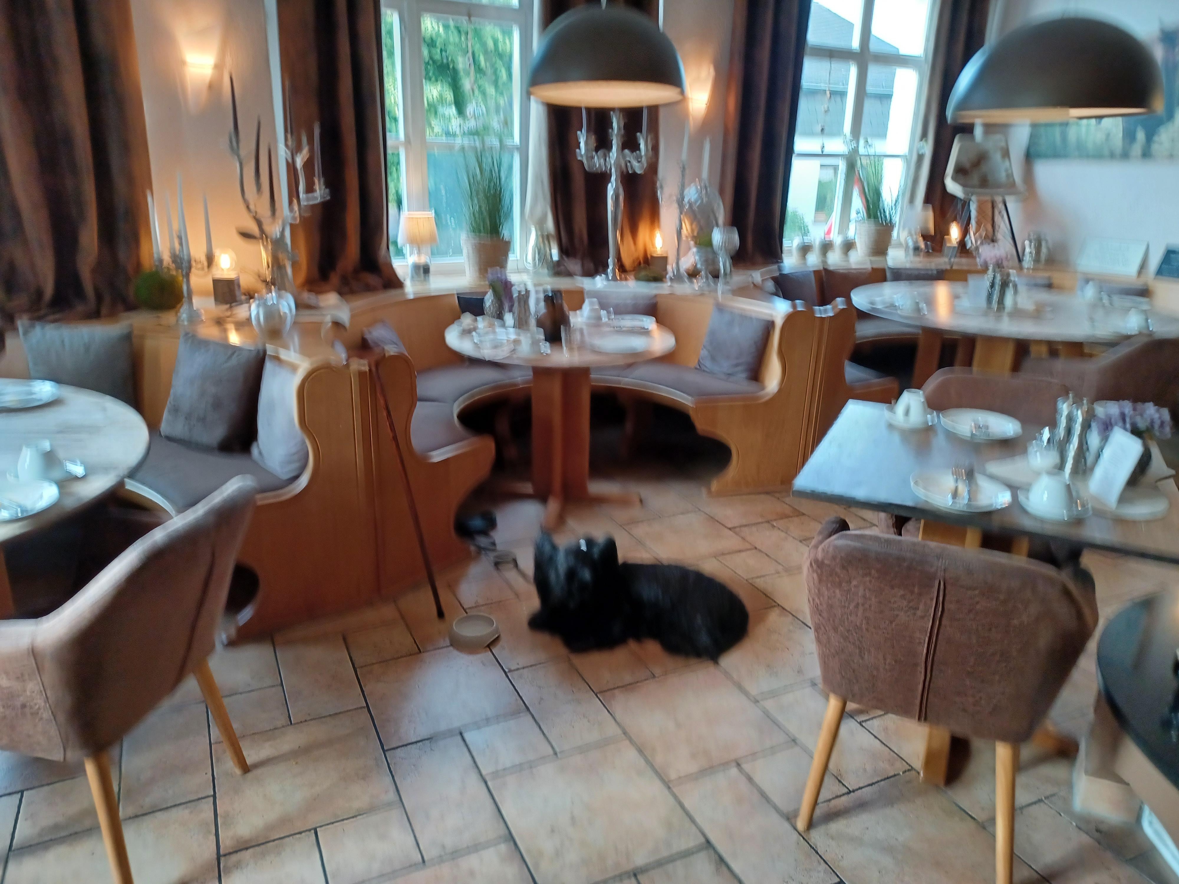 Morgenmaden var helt perfekt. Al personale var meget hjælpsom til alt.