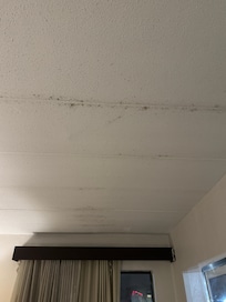 Mold