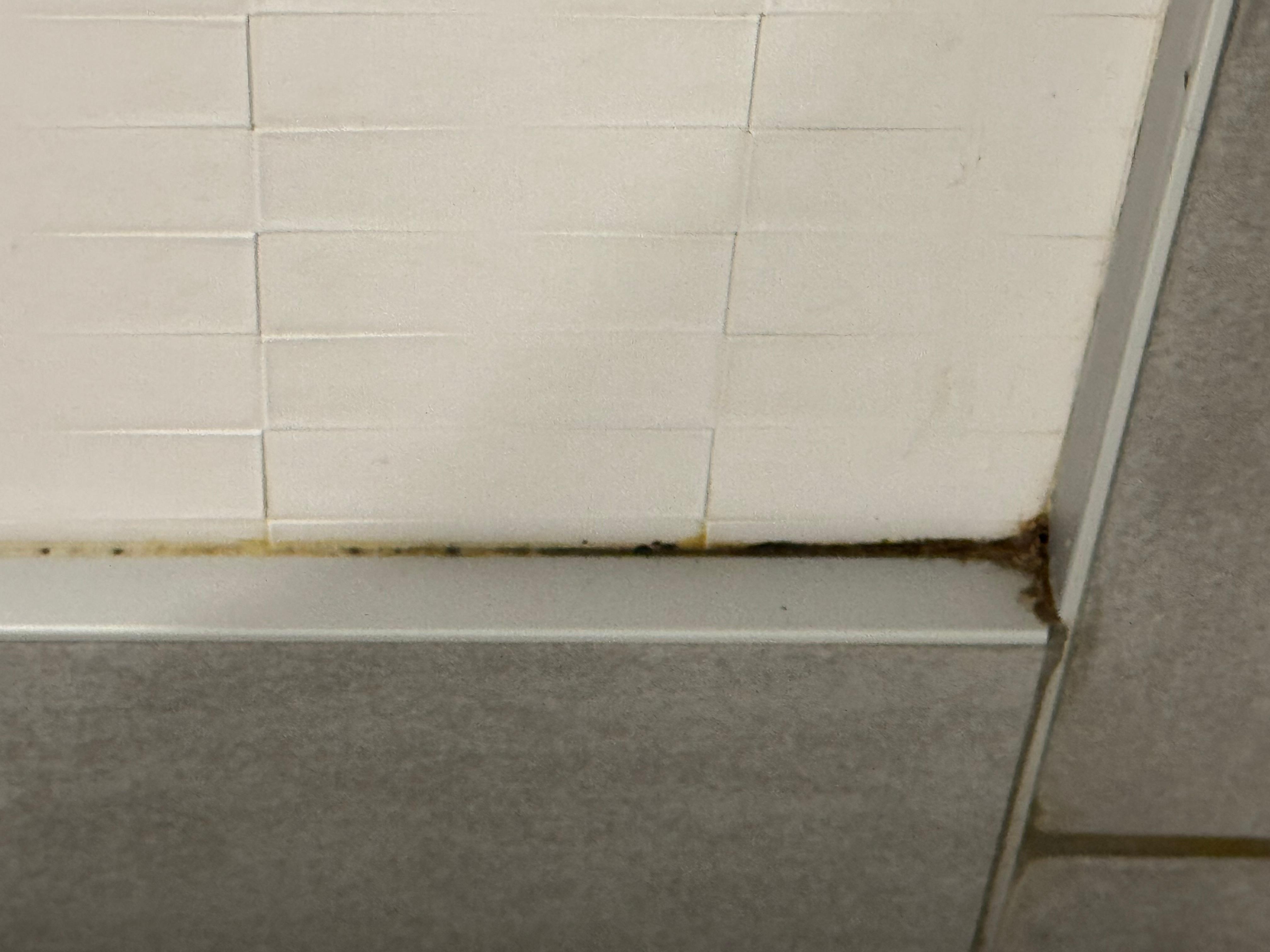On baseboard in bathroom.