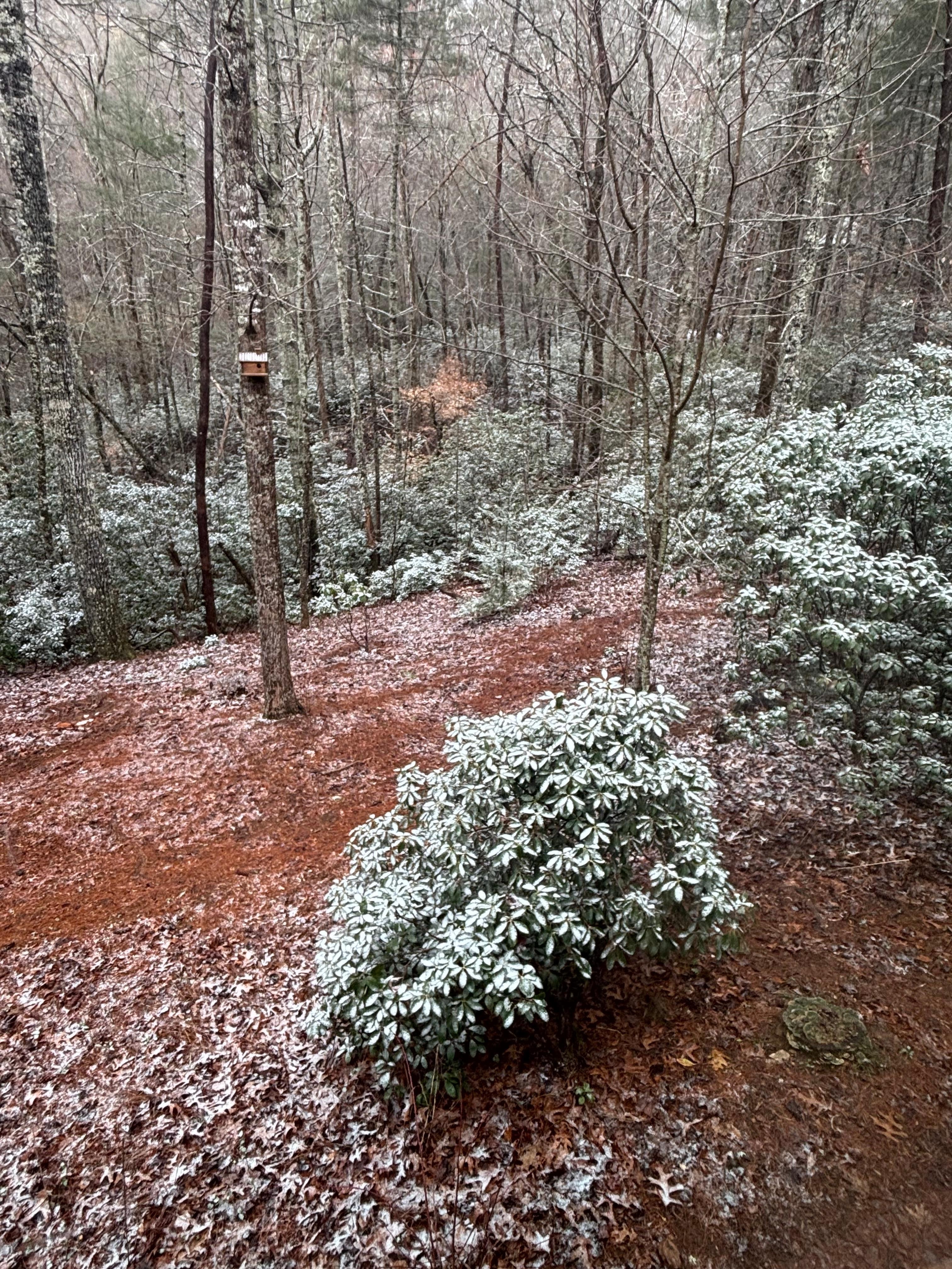 Our snow day in March!!! 