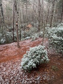 Our snow day in March!!!