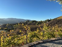 The view from the back patio