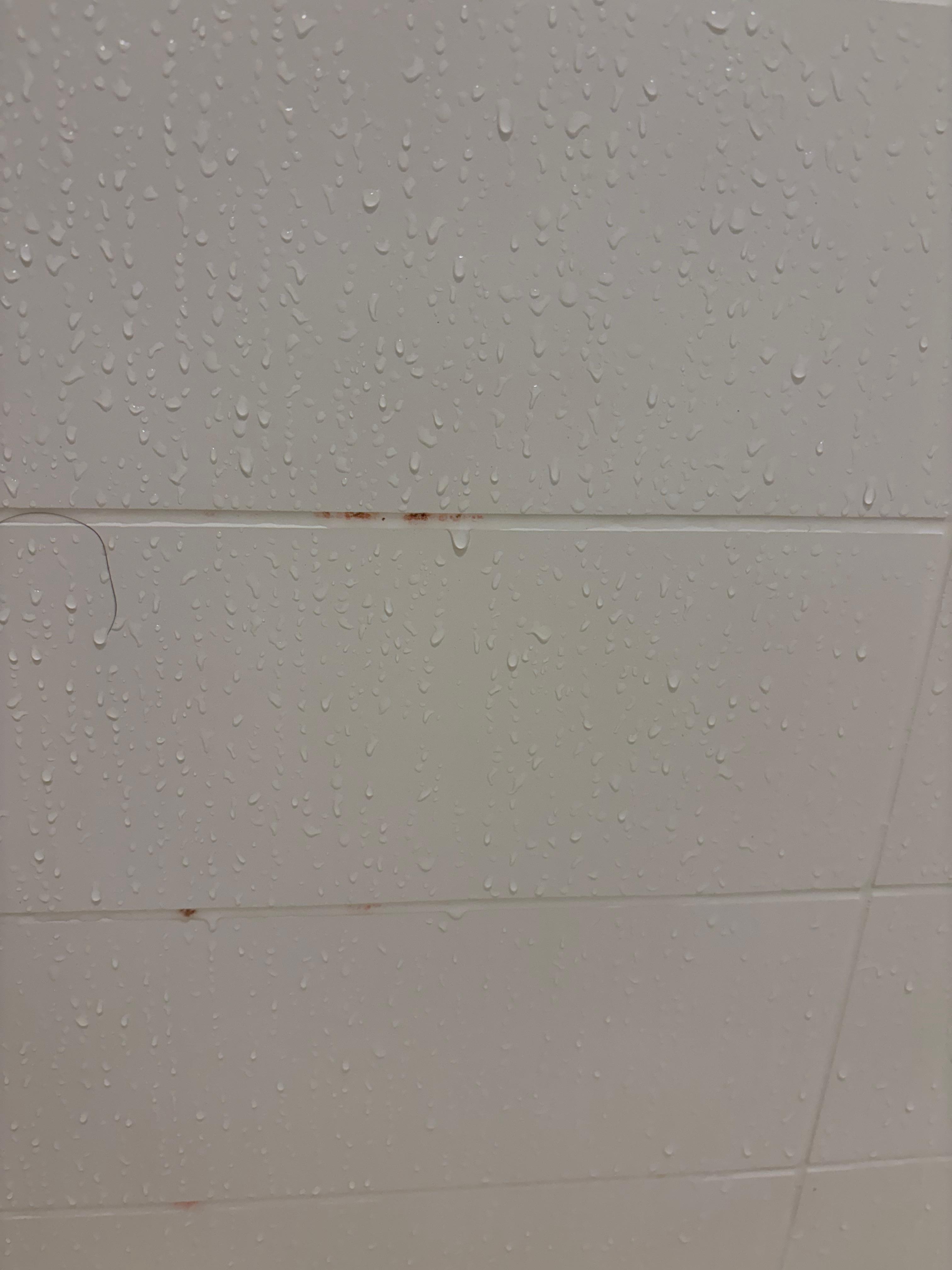 Shower wall mold