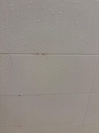Shower wall mold