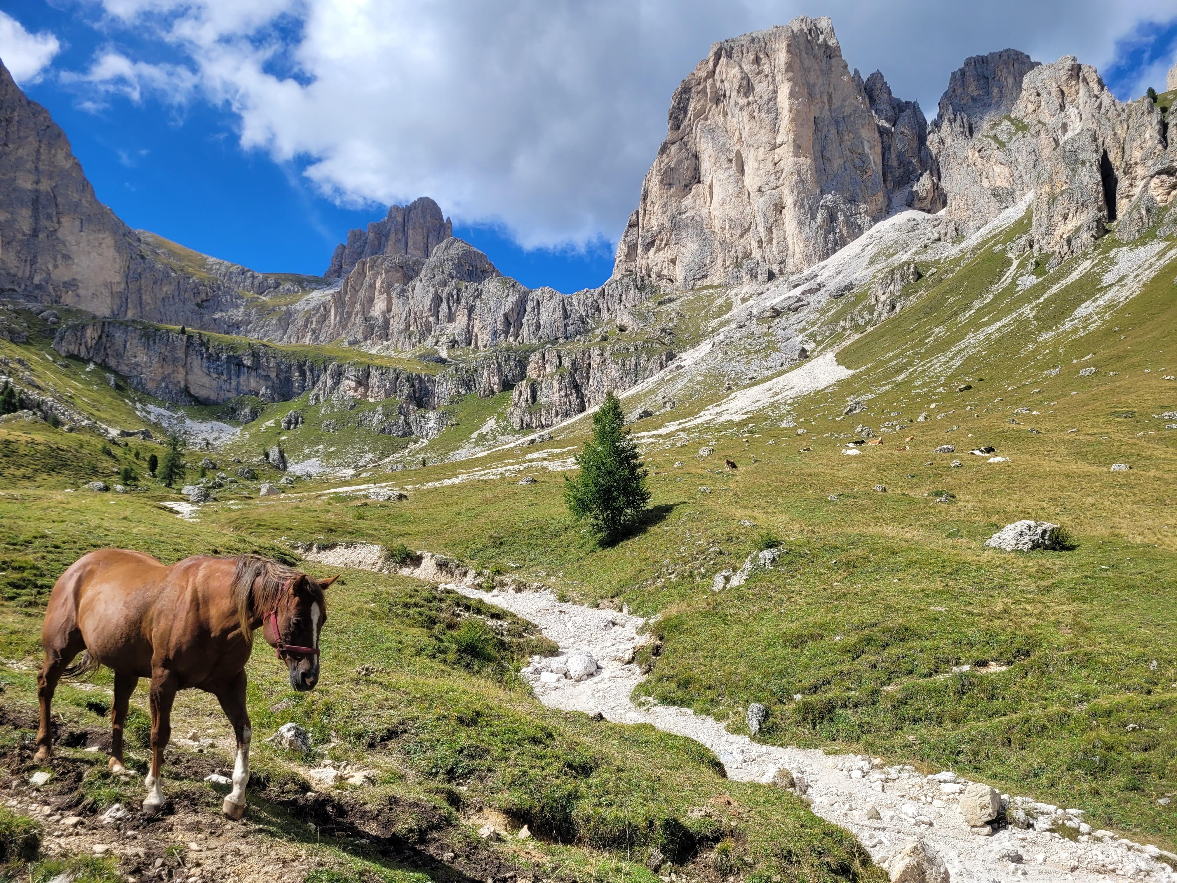 Wanderung Rosengarten