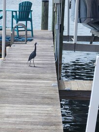 Crane on dock