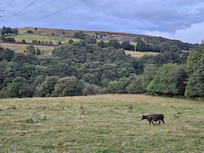 View in front