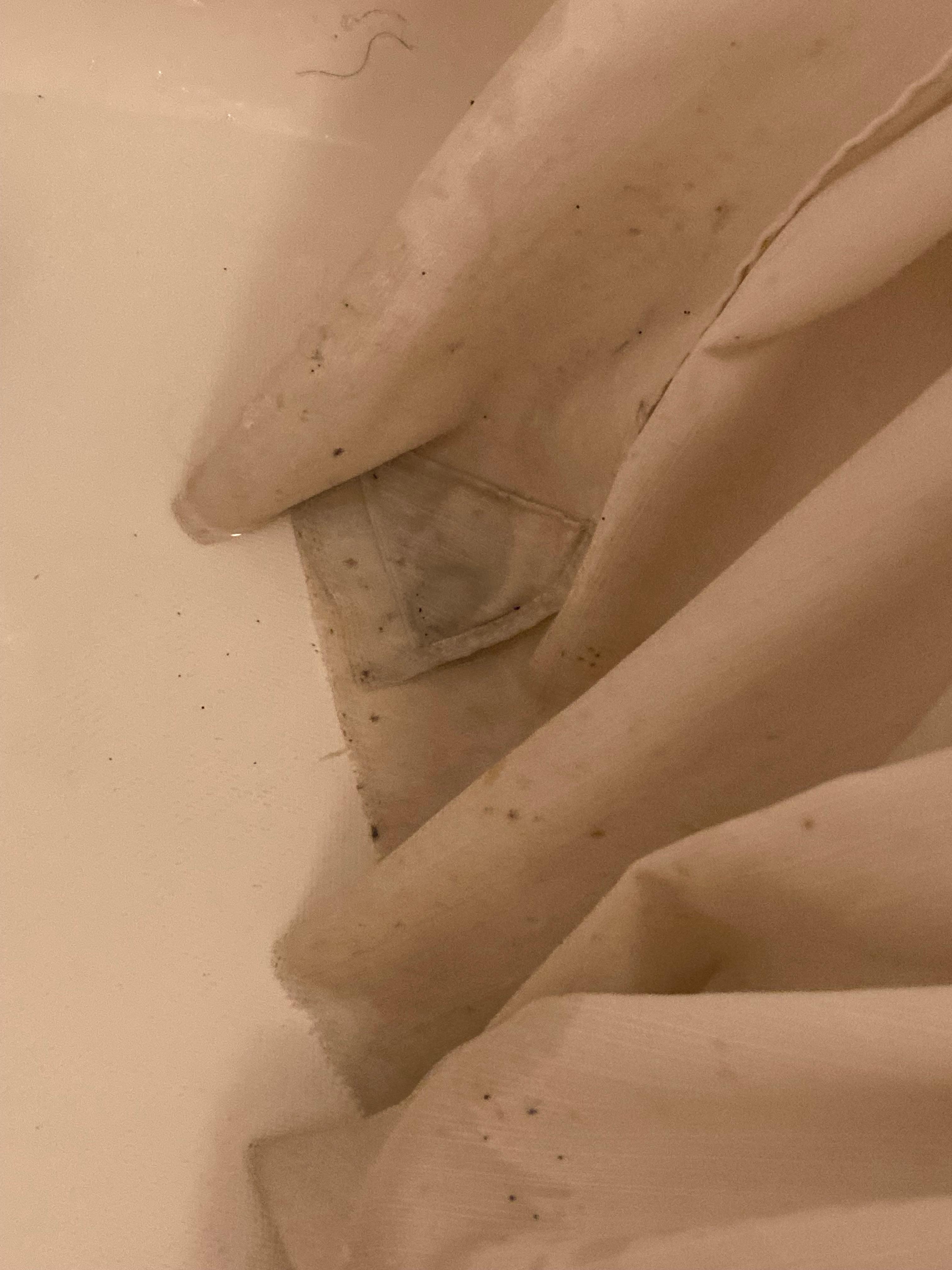 Moldy curtain 