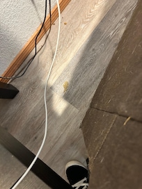 Closer view of whatever is in
In the floor