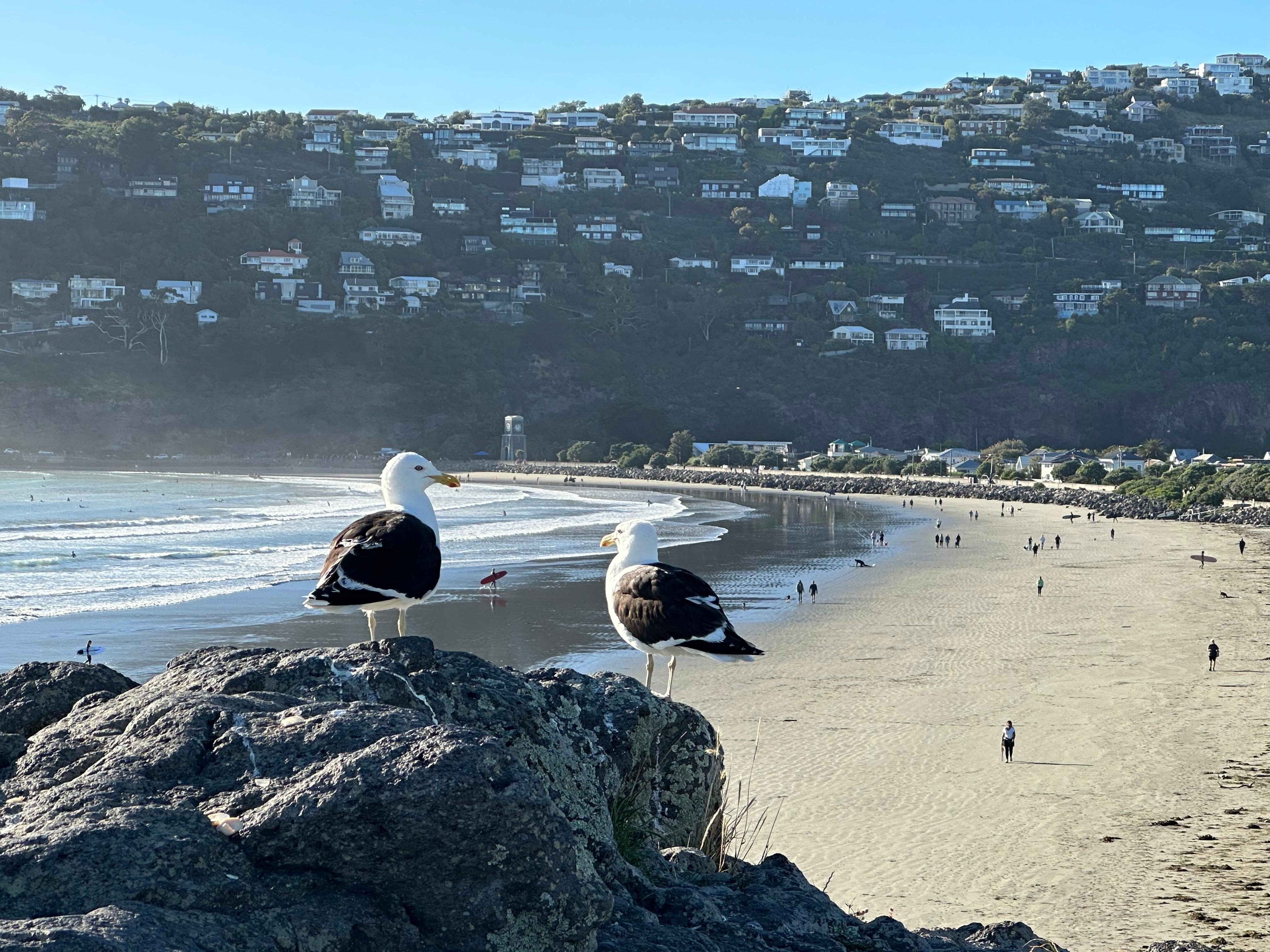 From top of Cave Rock ( Tuawera) on Sumner Beach