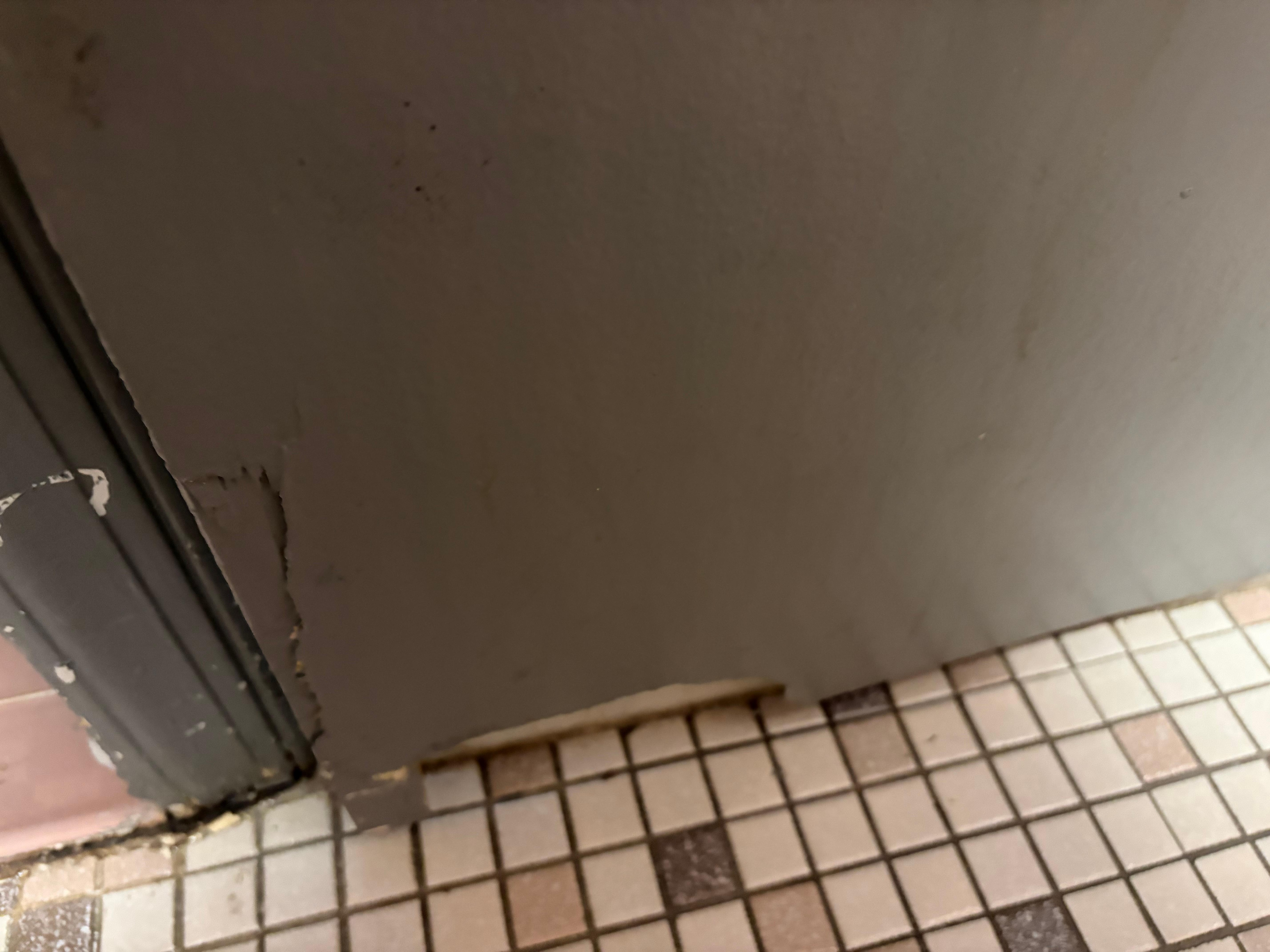 Large hole at bottom of bathroom door