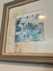 Mold and moisture in all of the pictures hanging on the walls