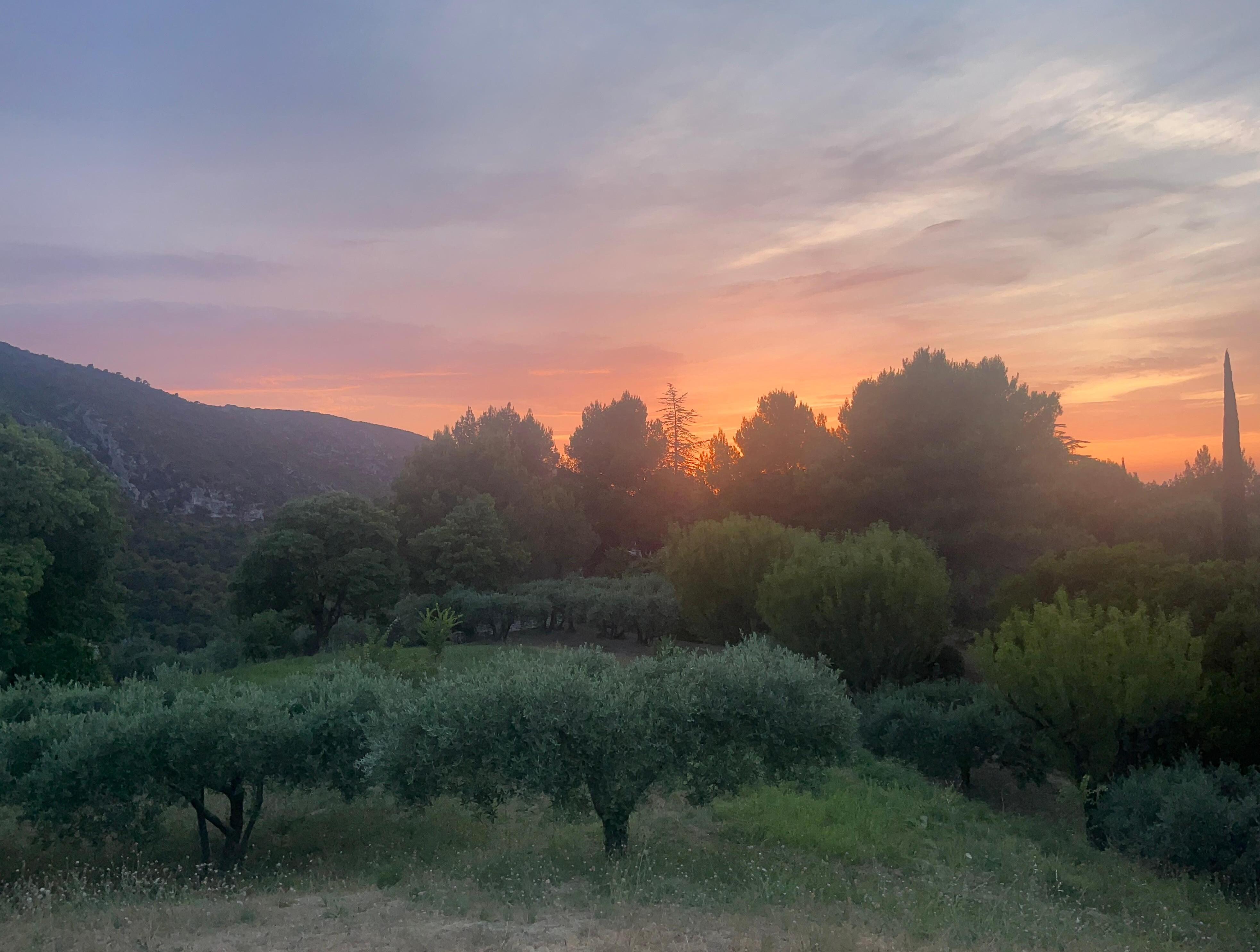 View from the fabulous terrace