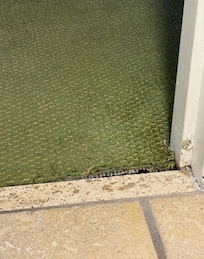 Carpet from bathroom to room