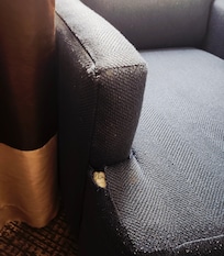 Torn armchair
