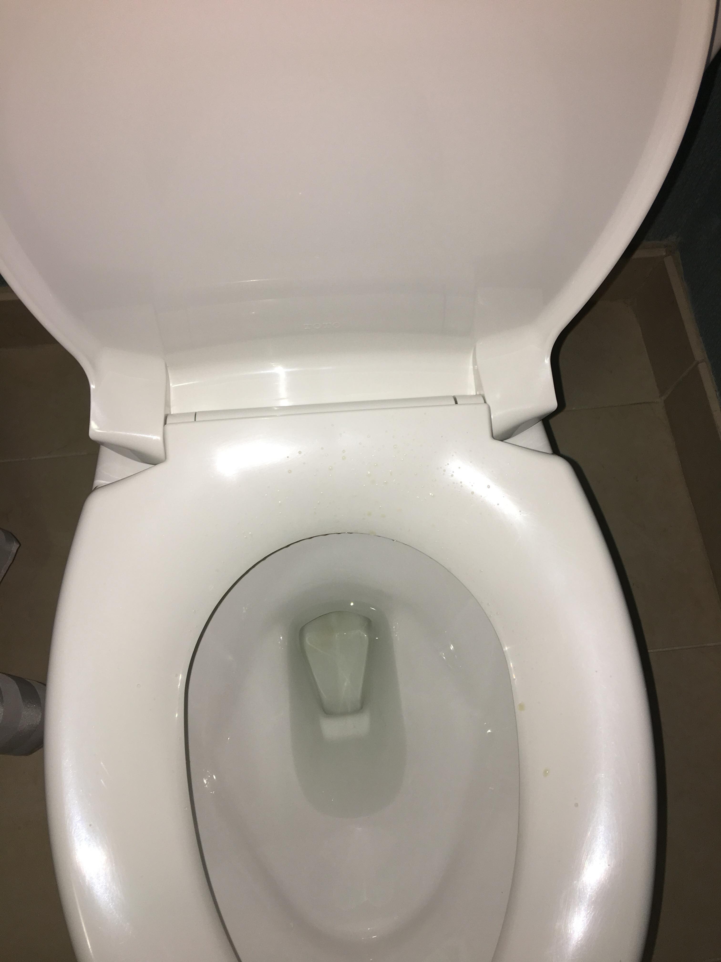 Urin on toilet room 218