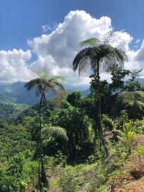 The views from a walk up the hill