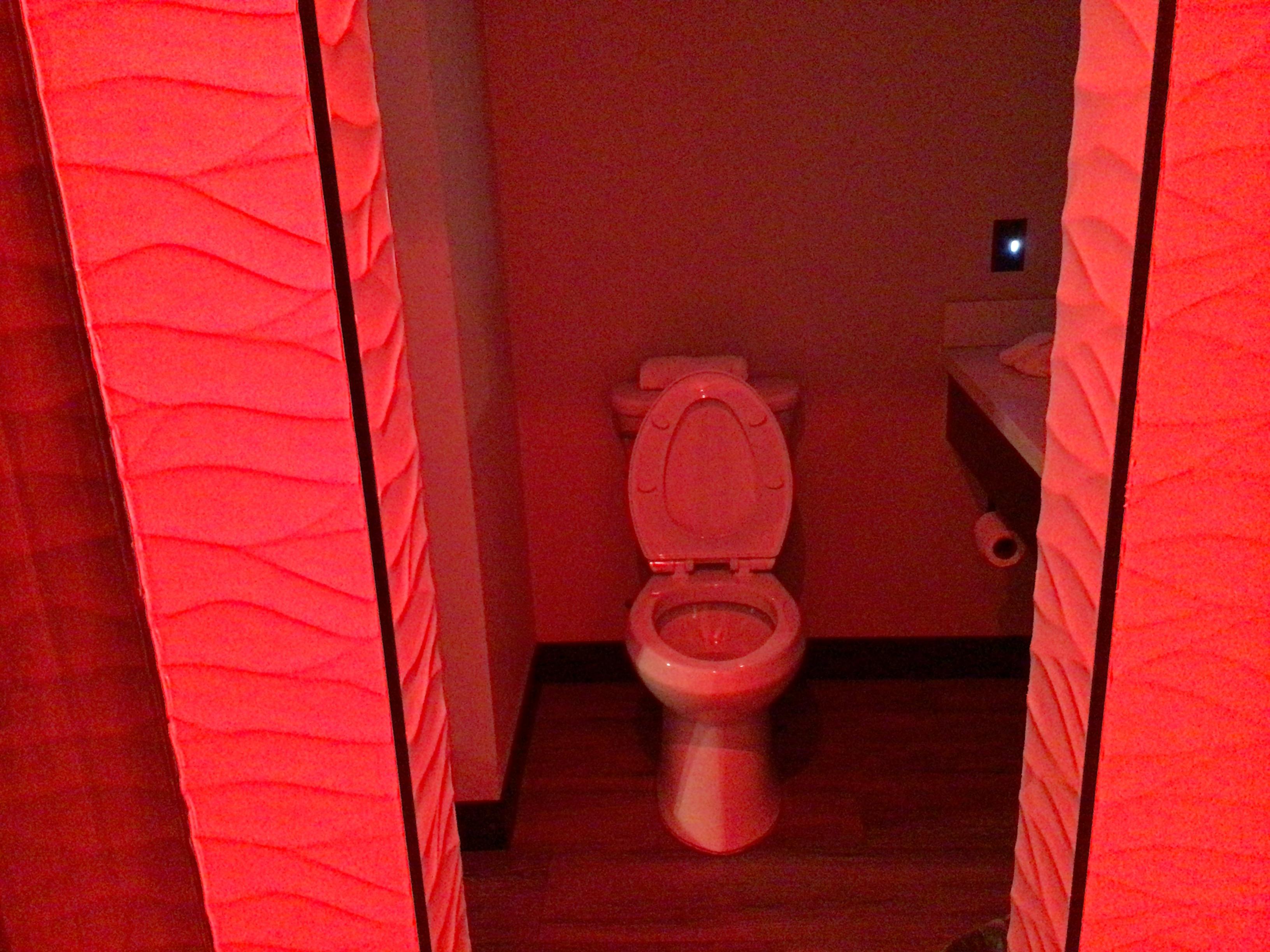 This is the bathroom. It’s separate from the huge roll-in shower. The pink lighting is awesome and gives a great ambience. Love it.