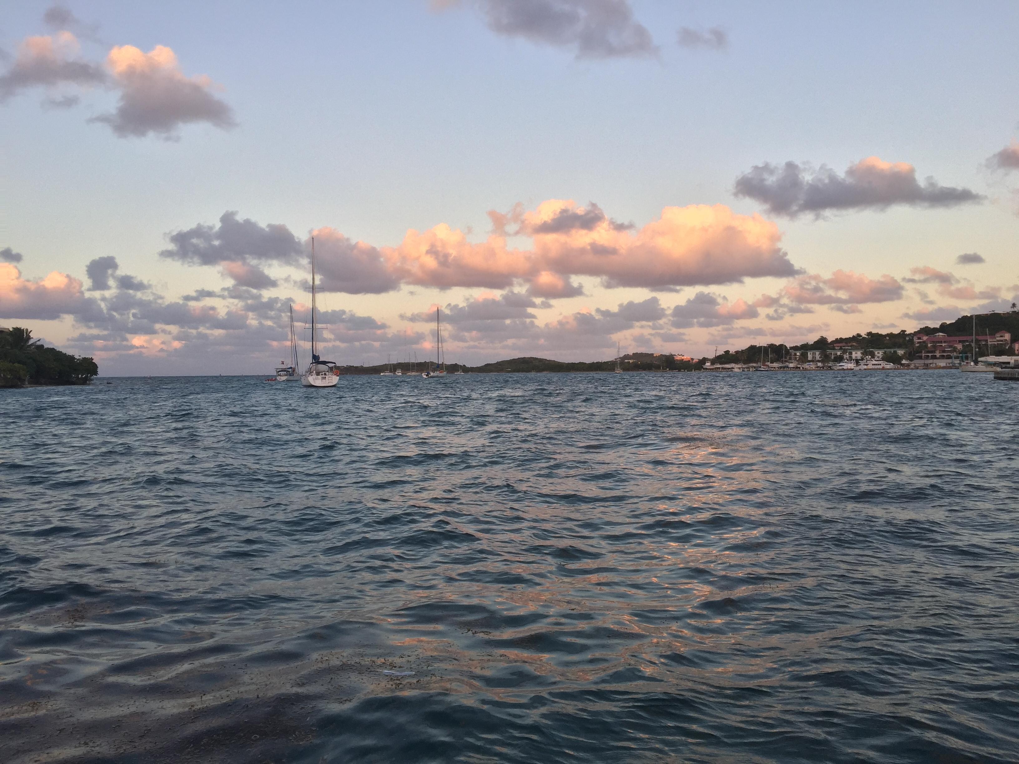 You never know what you can find in st croix!! This was at the beach.