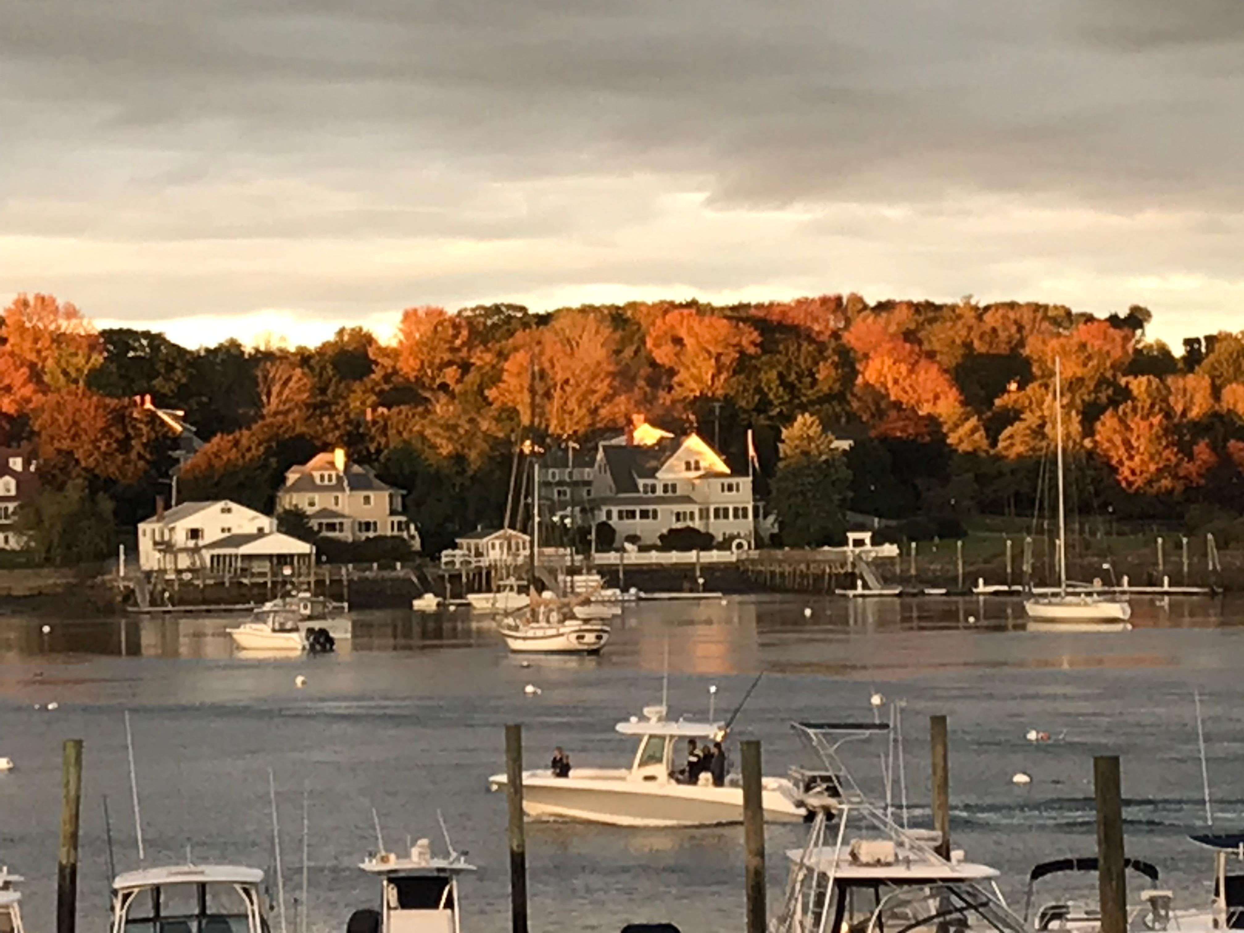 Dockside Harbor