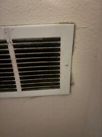 Mold around the hvac