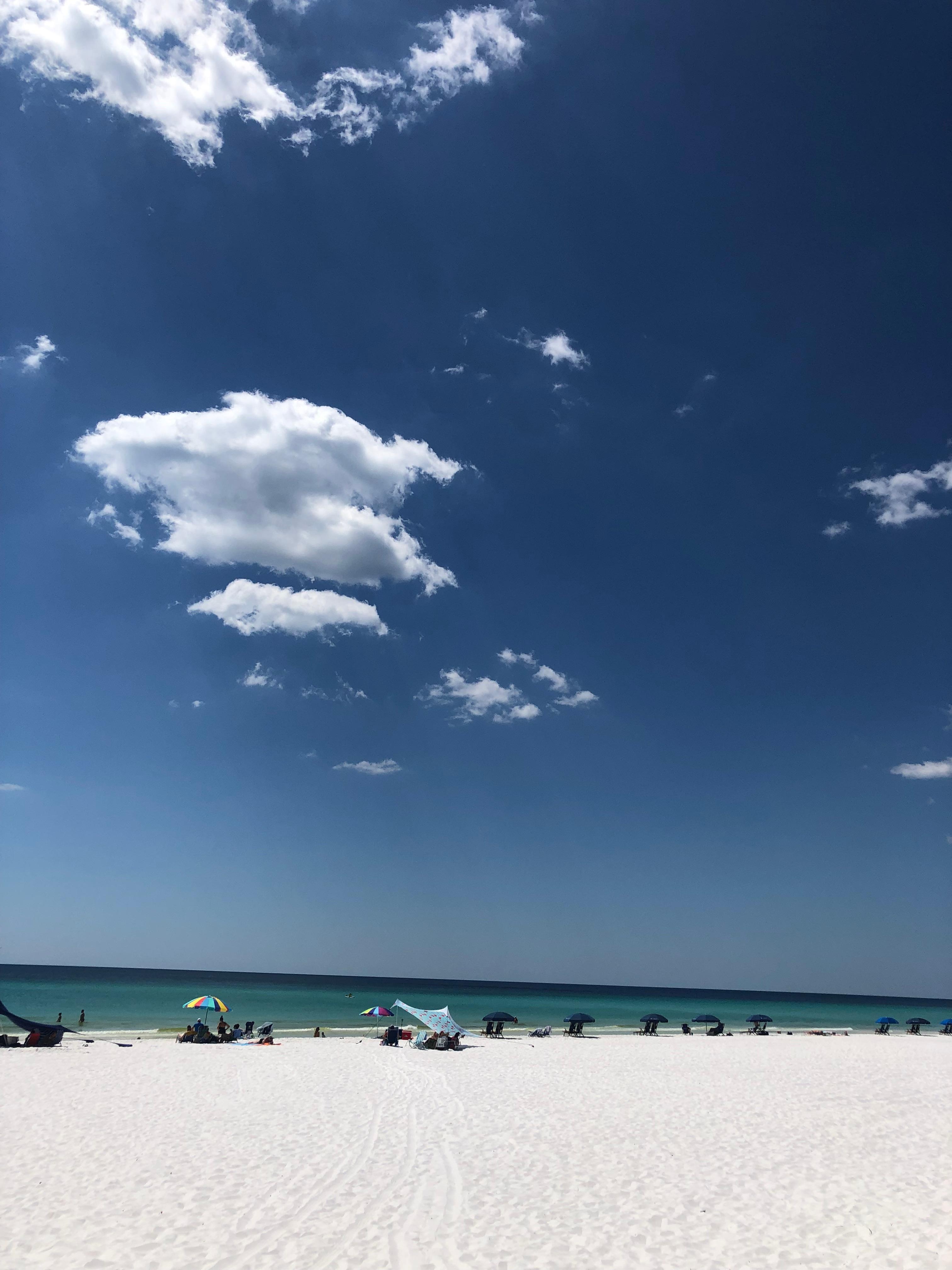 Walton Dunes Beach Access 