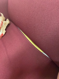 Ripped couch