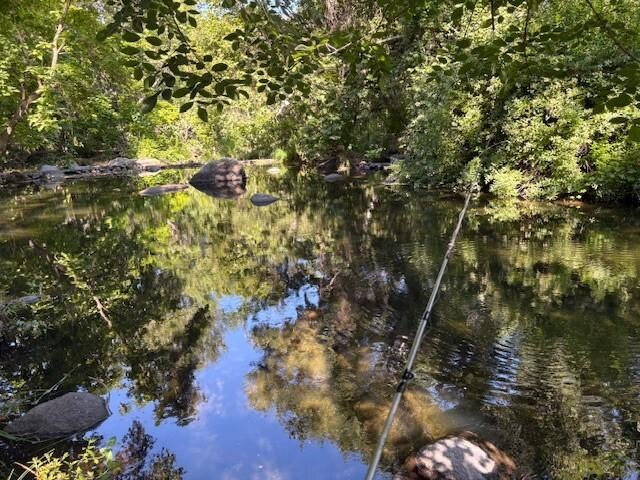 morning fishing