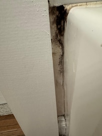 Mildew/mold around tub. Missing tile.