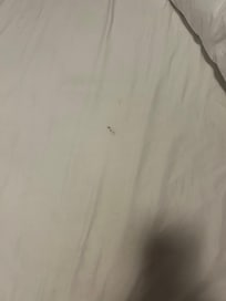 Dirty sheets