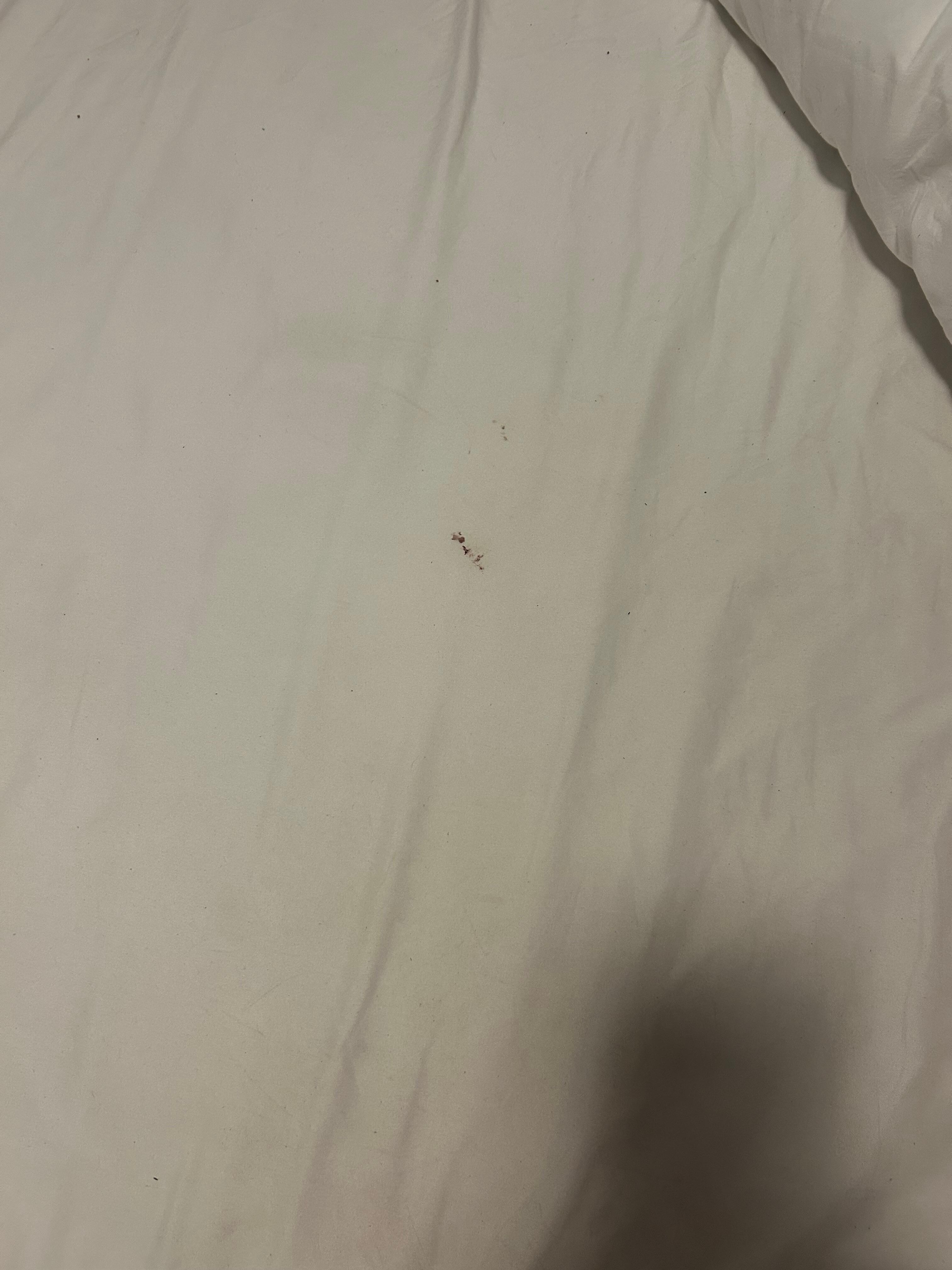 Dirty sheets 