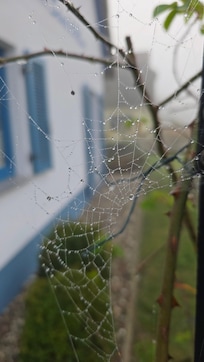 Herbstmorgen am Ferienhaus