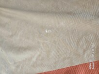 Comforter