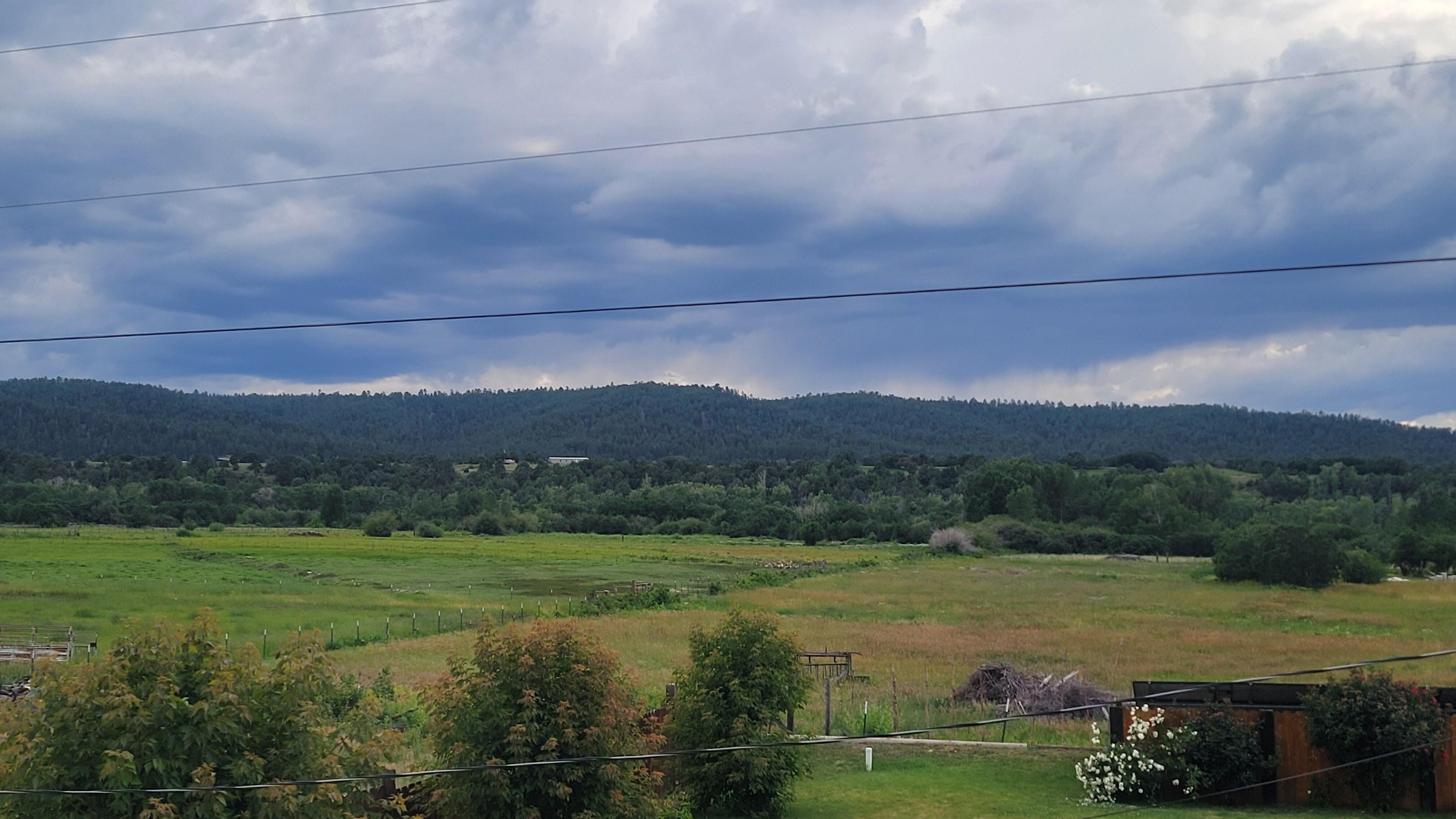 Views from the back yard