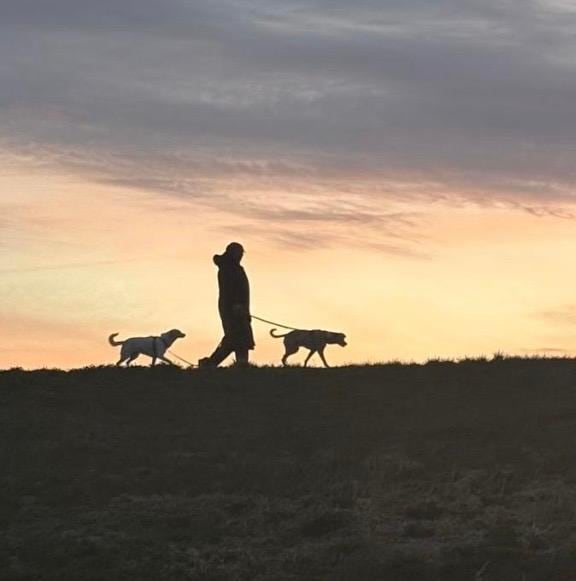 View from the kitchen towards the dike