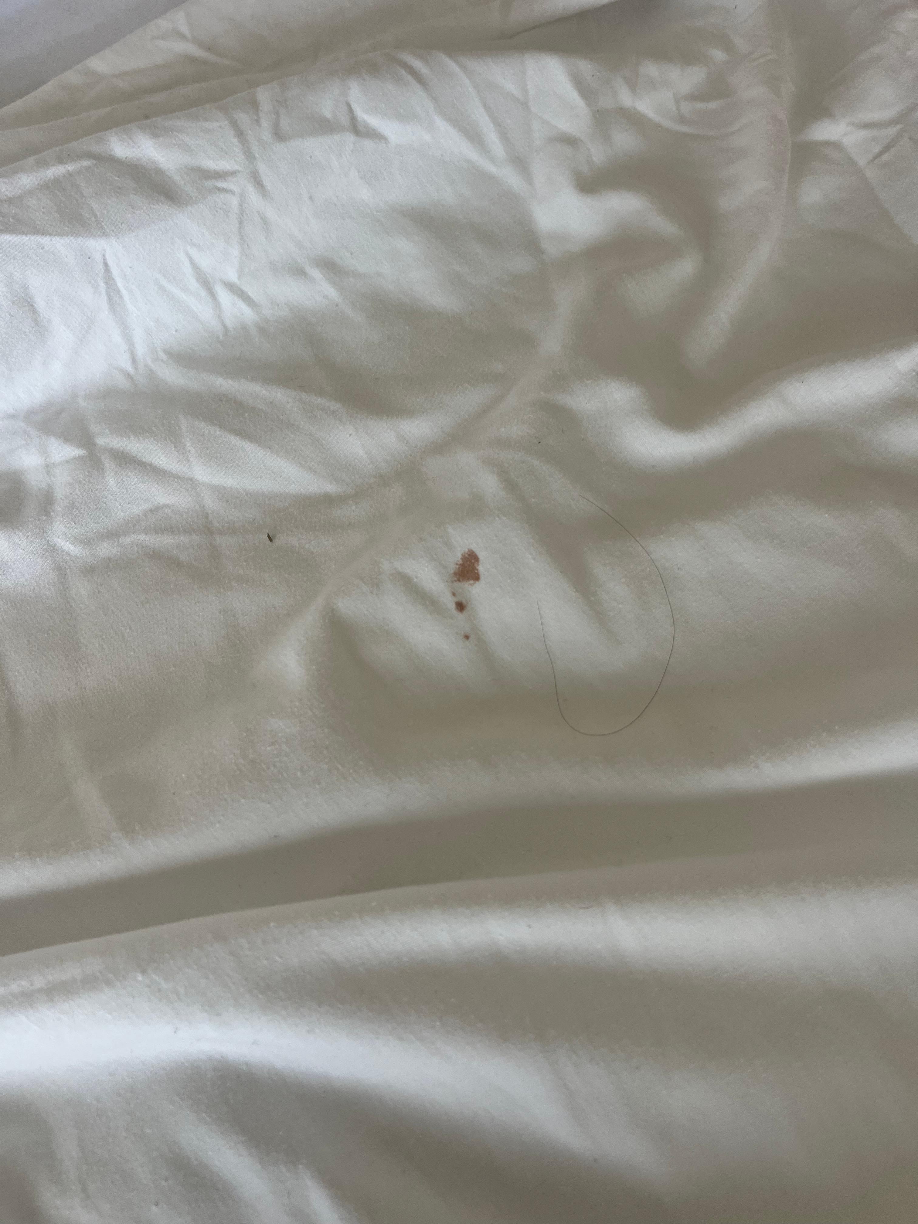 2 nd time still stained or not clean but spots like this all over the sheets and comforter 