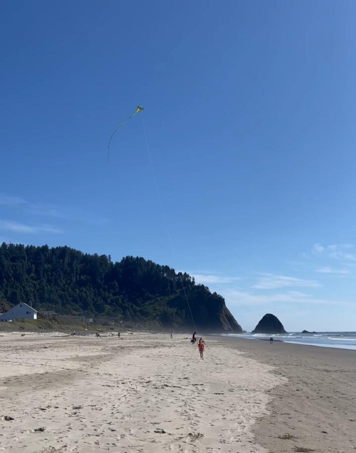 Looking south on the beach