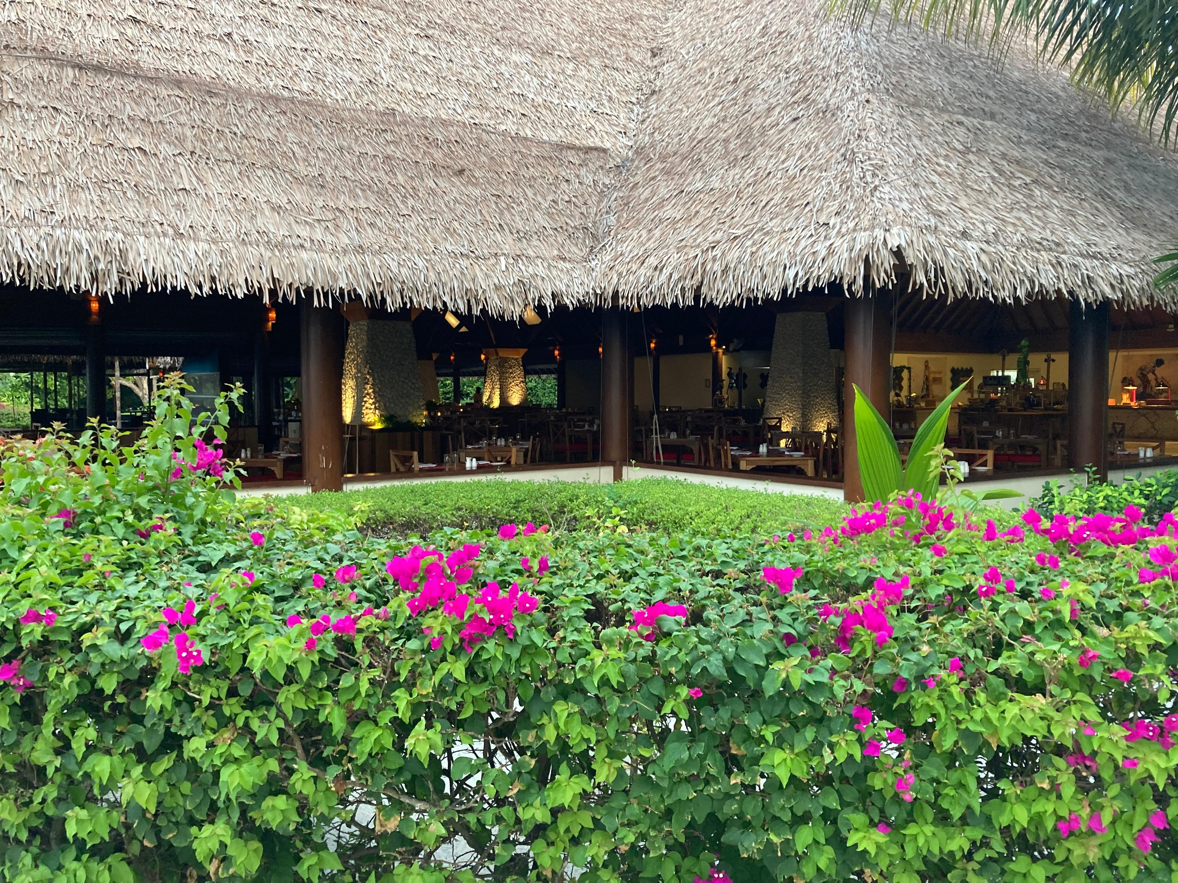 Vakaru Restaurant - the food was delicious and varied