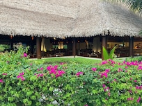 Vakaru Restaurant - the food was delicious and varied