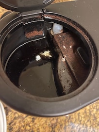 Mold