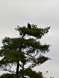 He caught me looking!