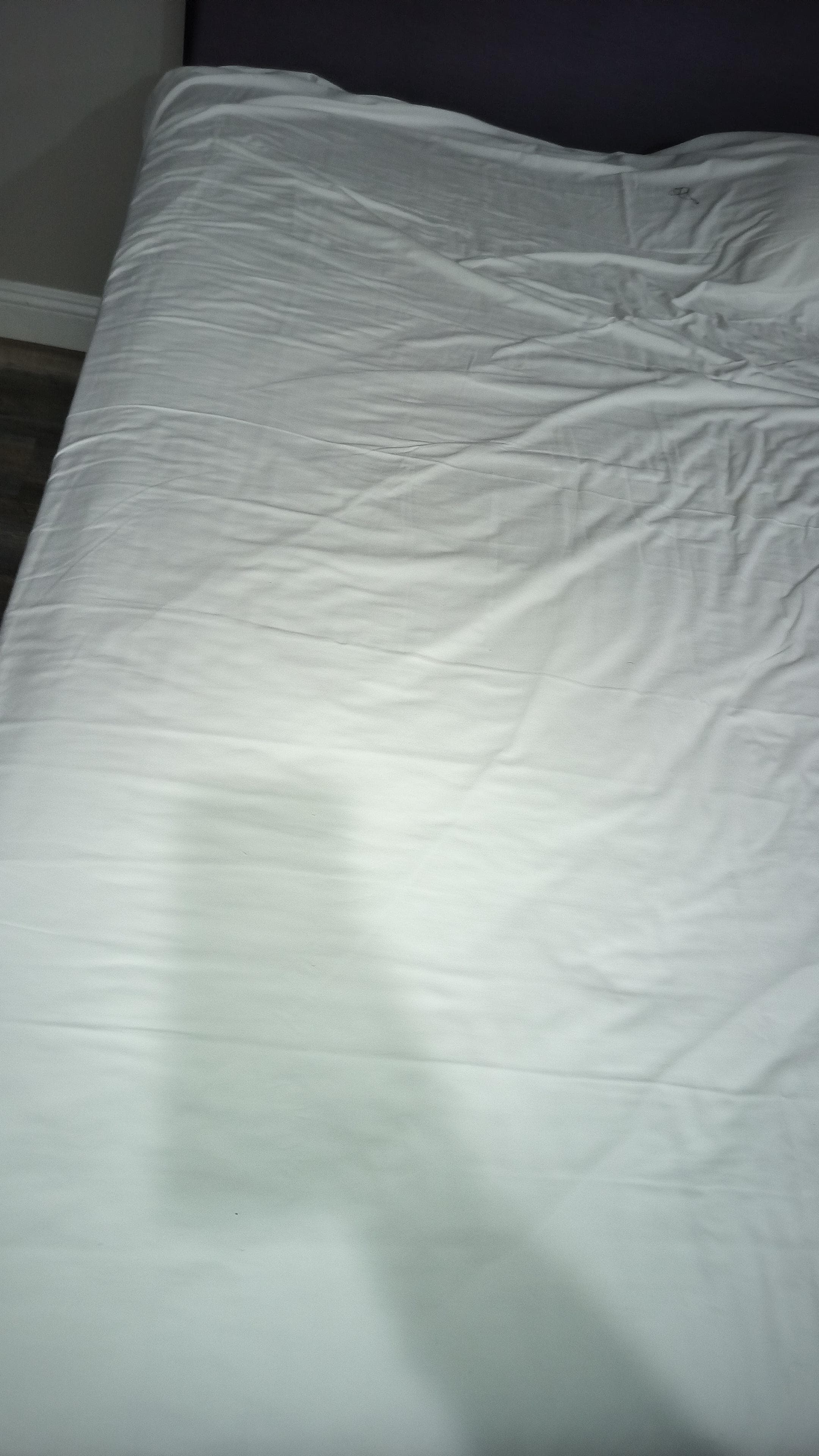 Hair on other mattress