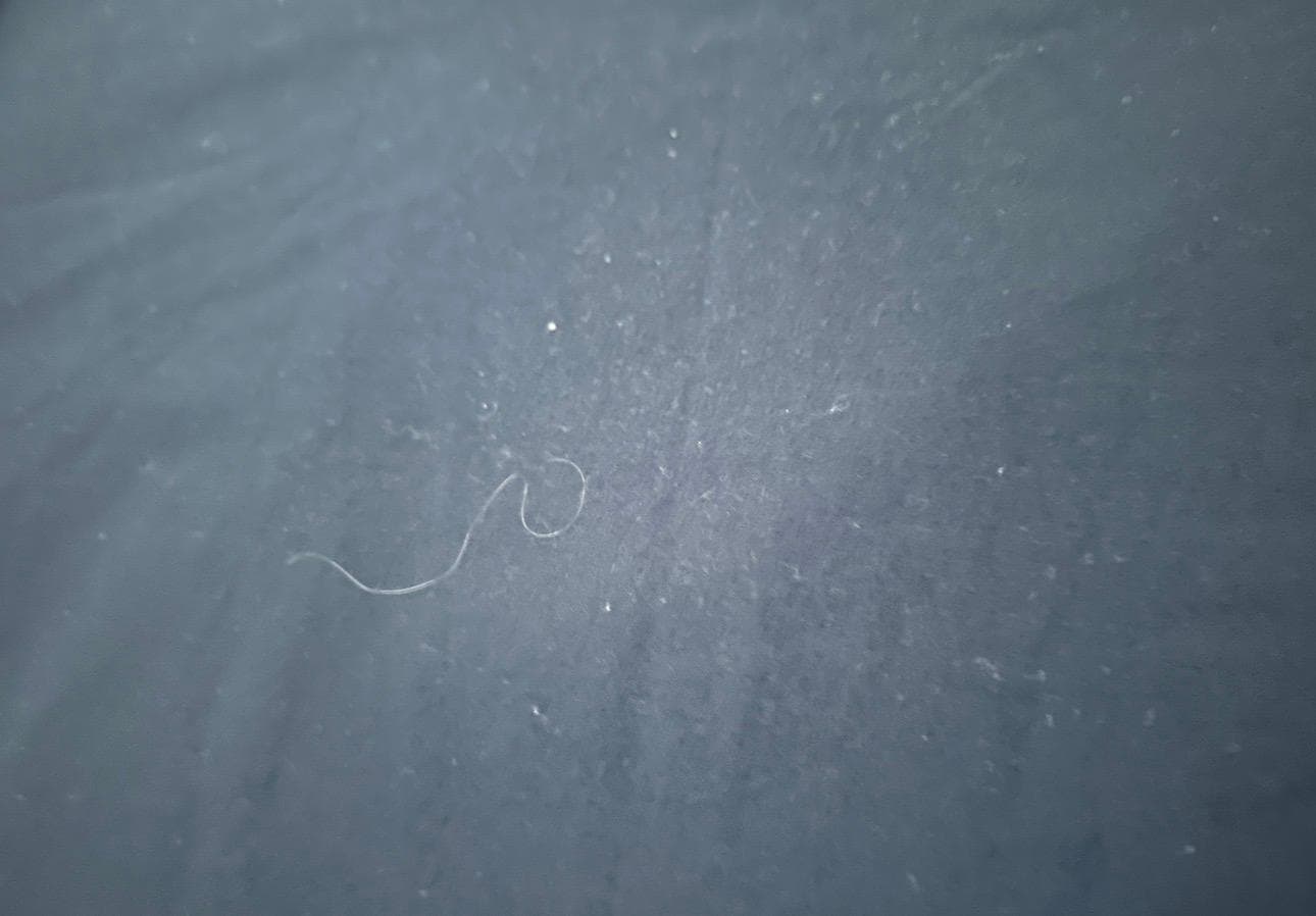 Dirty sheet with hair