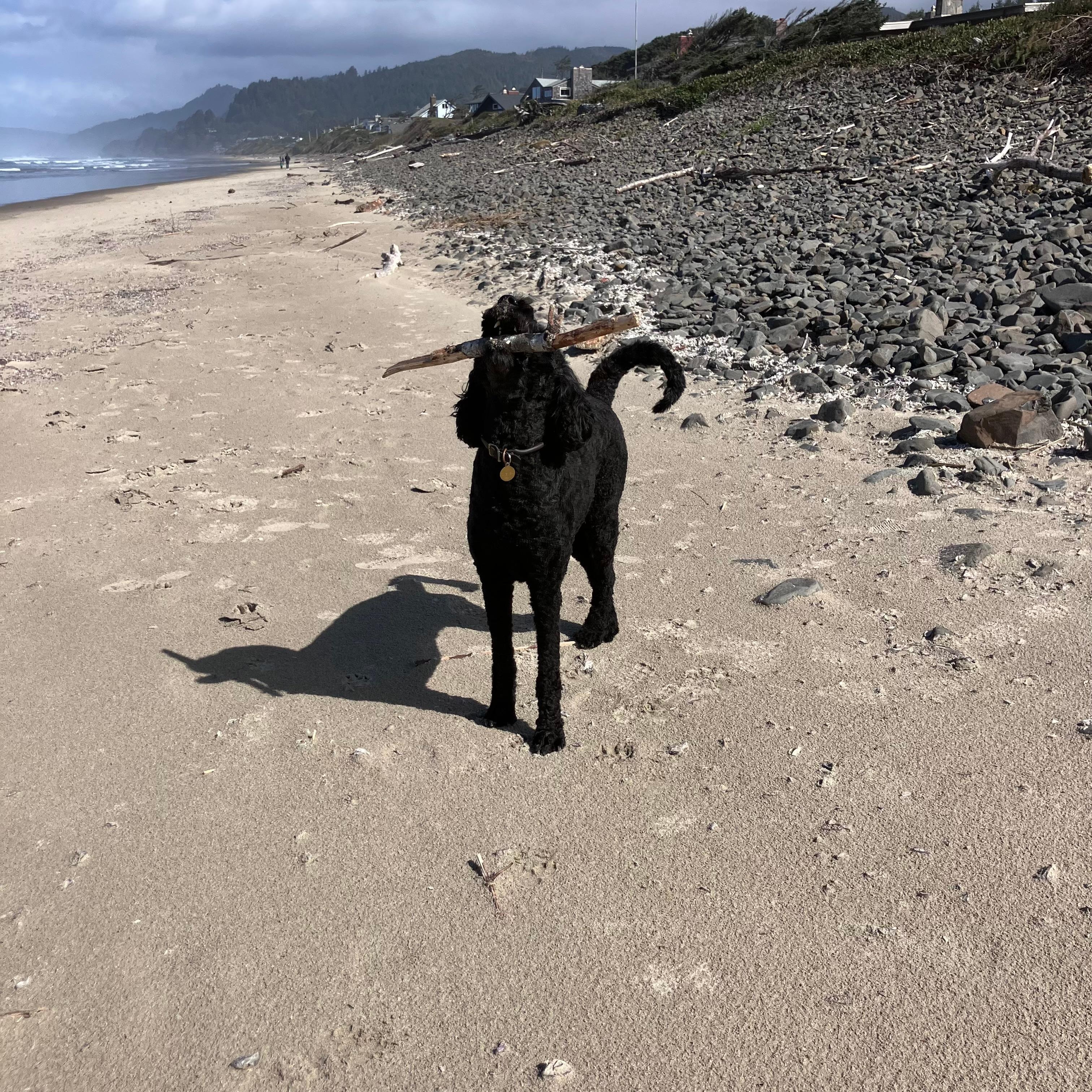 Doney loves Singing Sands♥️