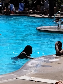 Multiple Cool pools