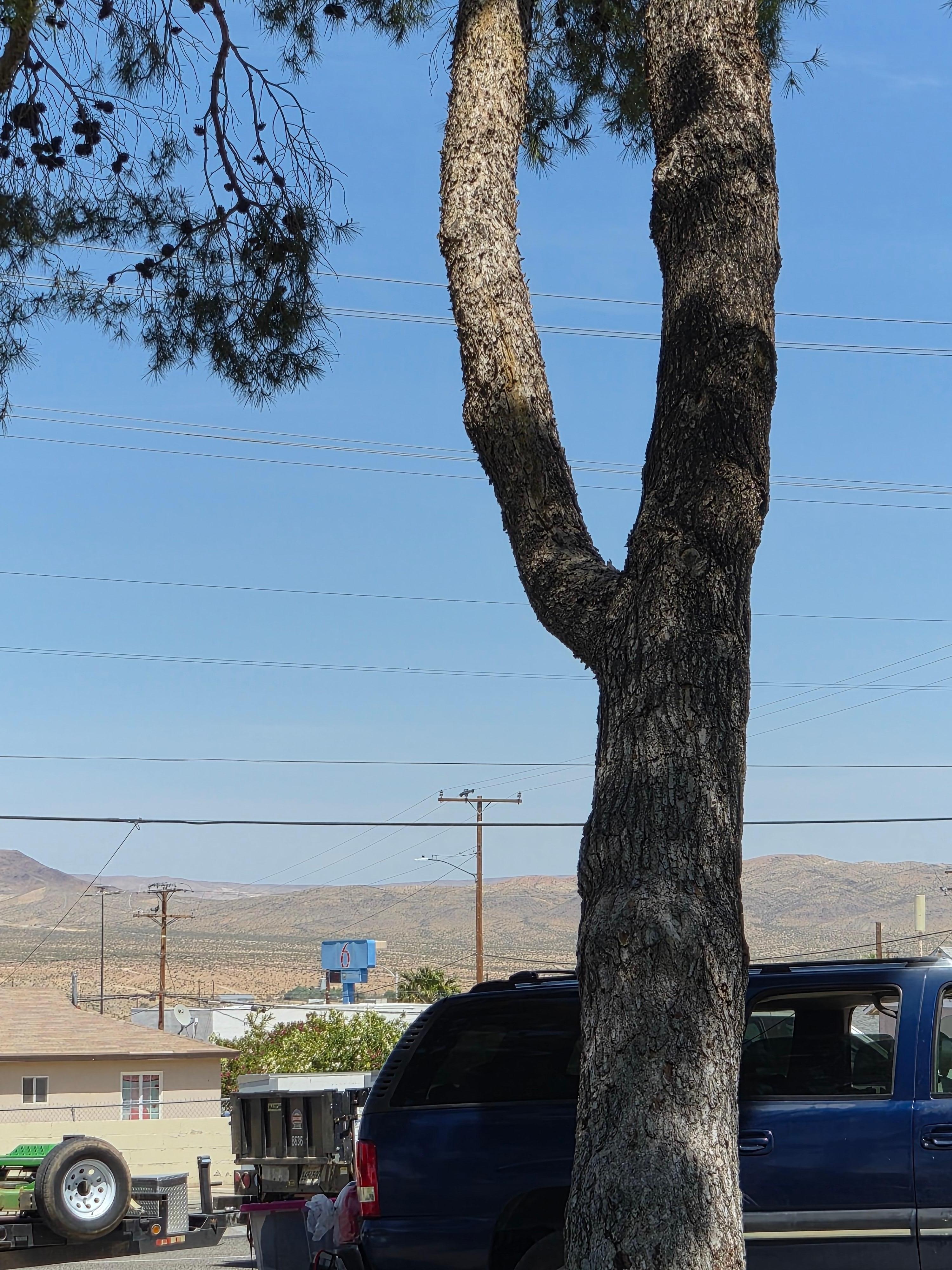 The motel from the half block away at the park, taken in shade. 