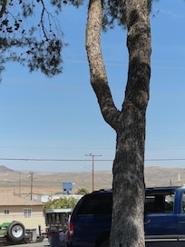 The motel from the half block away at the park, taken in shade.